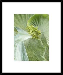 Biella Art framed prints melbourne