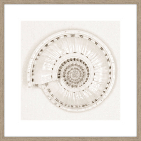 Architect Shell - Monochrome