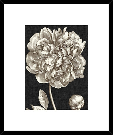 Biella Art framed prints melbourne