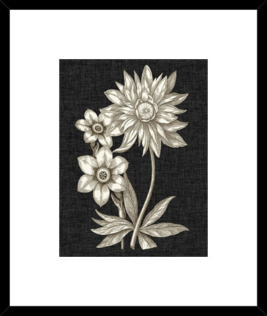 Biella Art framed prints melbourne