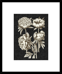Biella Art framed prints melbourne