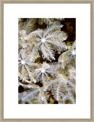 Biella Art framed prints melbourne