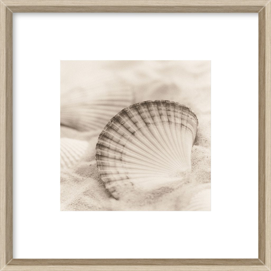 La Mer 3