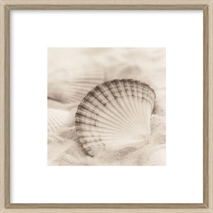 La Mer 3