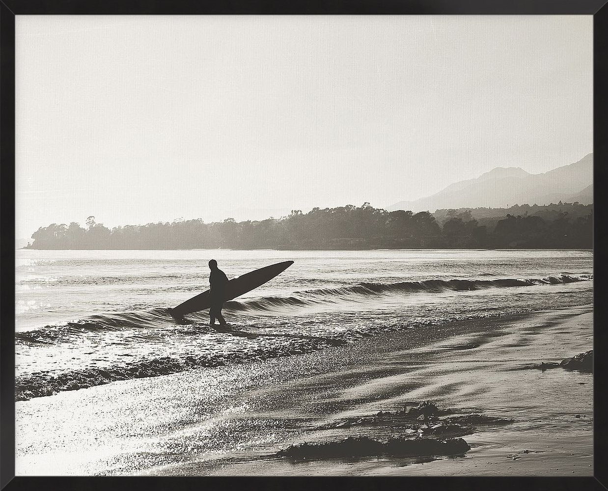 Bw Surfer No. 3
