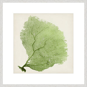 Biella Art framed prints melbourne