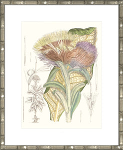 Tropical Variety IX