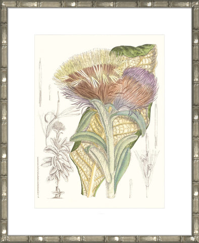 Tropical Variety IX
