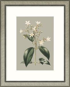 Biella Art framed prints melbourne