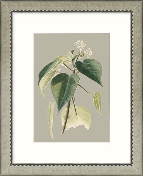 Biella Art framed prints melbourne