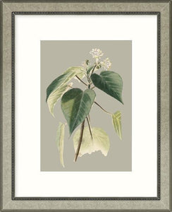 Biella Art framed prints melbourne