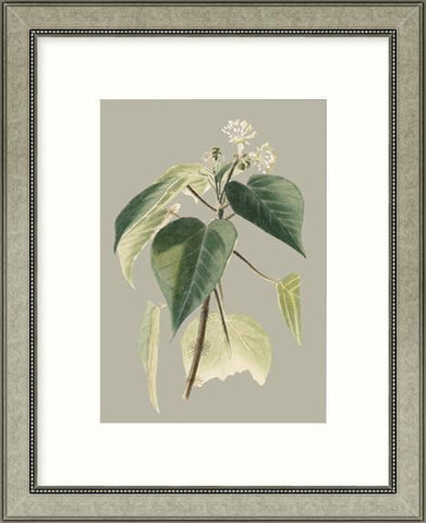 Biella Art framed prints melbourne