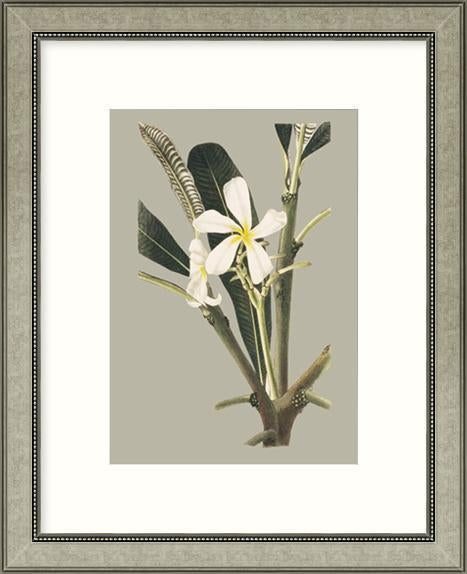 Biella Art framed prints melbourne