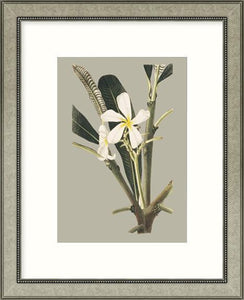 Biella Art framed prints melbourne