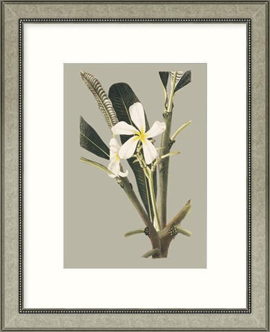 Biella Art framed prints melbourne