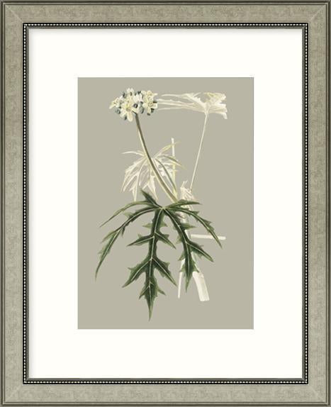 Biella Art framed prints melbourne
