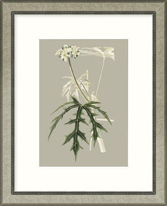 Biella Art framed prints melbourne