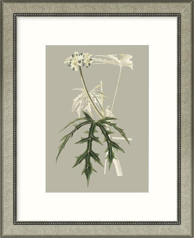 Biella Art framed prints melbourne