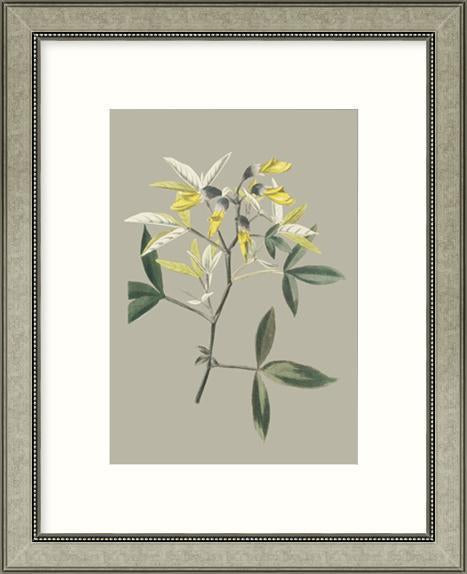 Biella Art framed prints melbourne