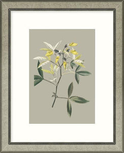 Biella Art framed prints melbourne
