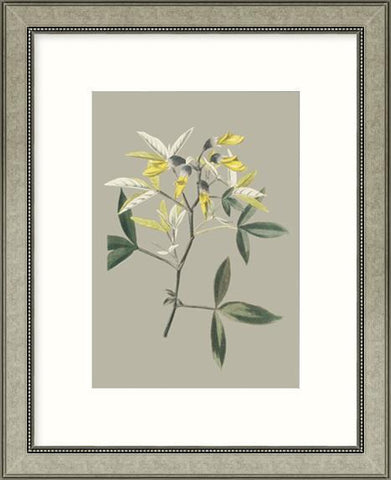 Biella Art framed prints melbourne
