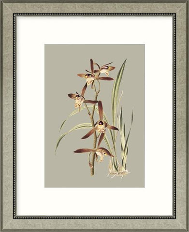 Biella Art framed prints melbourne