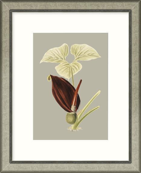 Biella Art framed prints melbourne