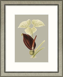 Biella Art framed prints melbourne