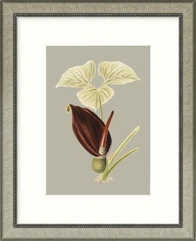 Biella Art framed prints melbourne