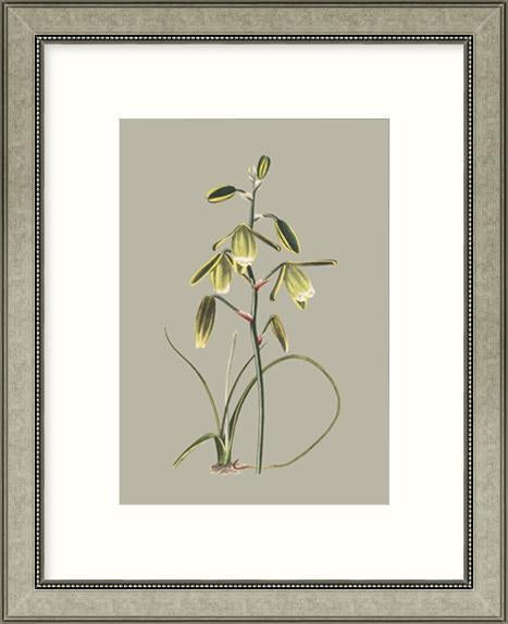 Biella Art framed prints melbourne