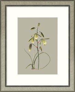 Biella Art framed prints melbourne