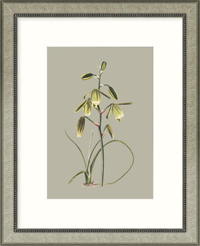 Biella Art framed prints melbourne
