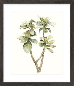 Biella Art framed prints melbourne