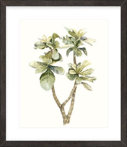 Biella Art framed prints melbourne