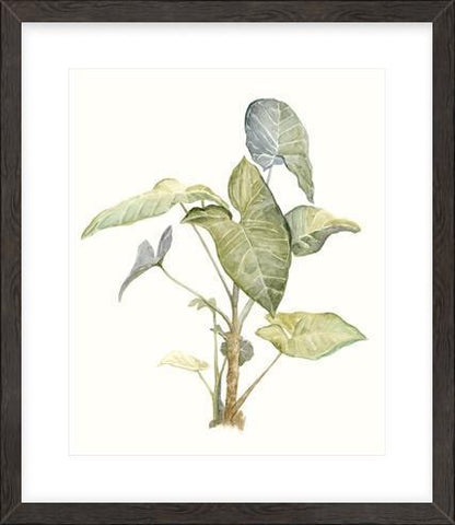 Biella Art framed prints melbourne