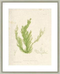 Biella Art framed prints melbourne