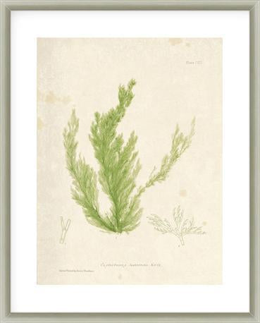 Biella Art framed prints melbourne