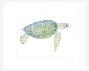 Tranquil Sea Turtle I