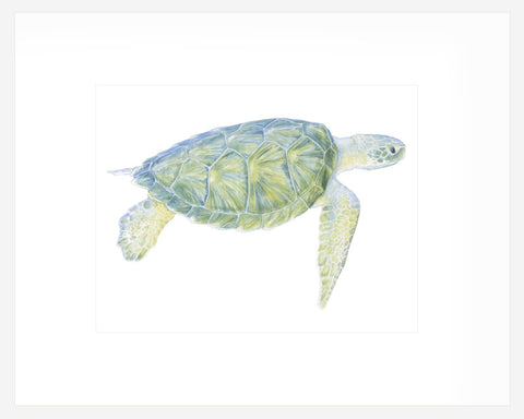 Tranquil Sea Turtle I