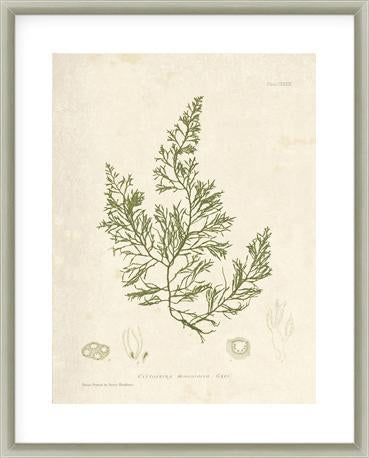 Biella Art framed prints melbourne