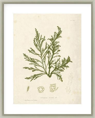 Biella Art framed prints melbourne