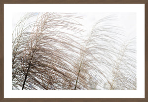 Flower Grass on White Sky