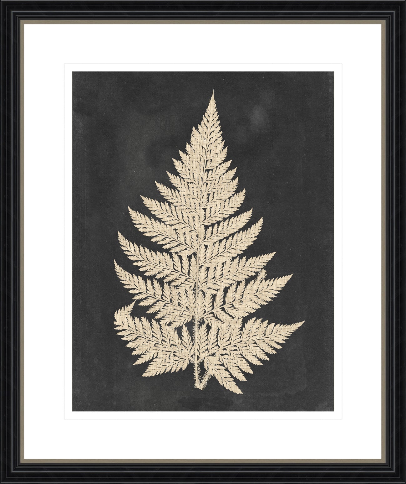 Linen Fern I