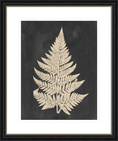 Linen Fern I