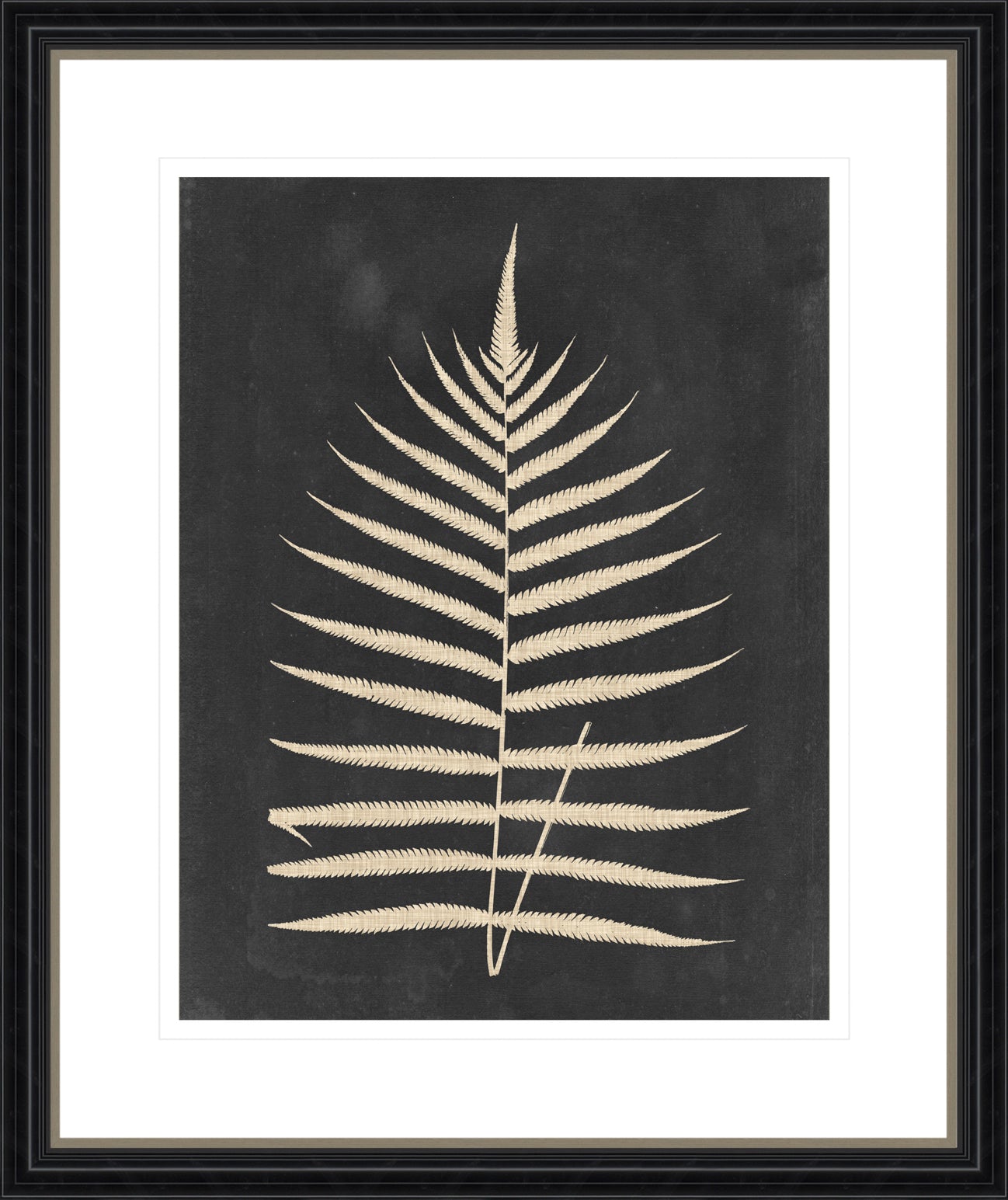 Linen Fern III
