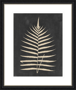 Linen Fern III