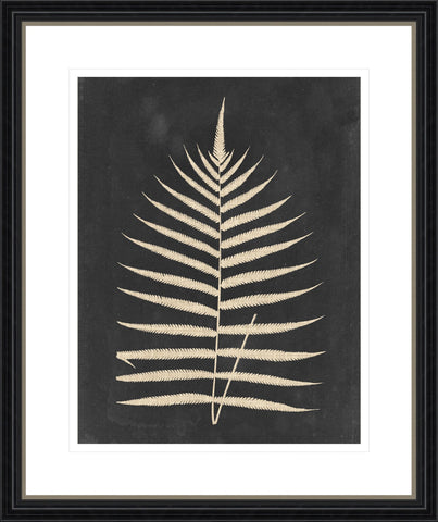 Linen Fern III