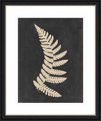 Linen Fern IV