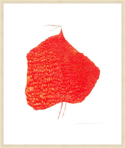 Biella Art framed prints melbourne