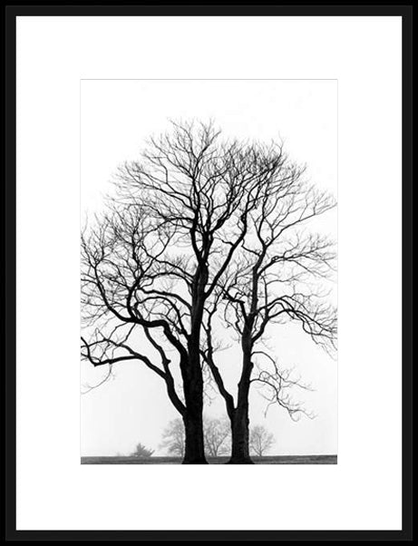 Biella Art framed prints melbourne